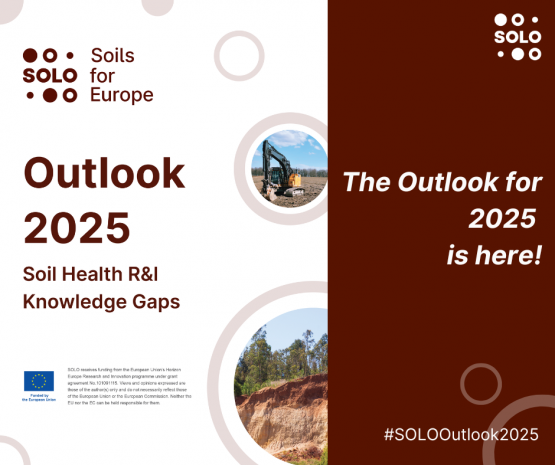 SOLO’s Outlook 2025 is here!