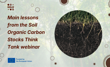 New Scientific Roadmap Outlines Strategy to Transform European Soils from Carbon Source to Resilient Sink