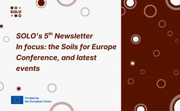 SOLO's fifth newsletter has arrived!