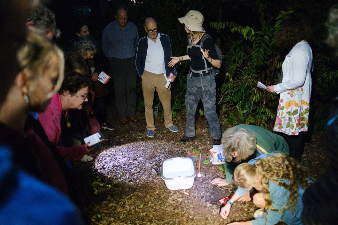 Soil Week 2024: Celebrating the 10th Anniversary of Soil Animal Days with SOLO and NIOO-KNAW