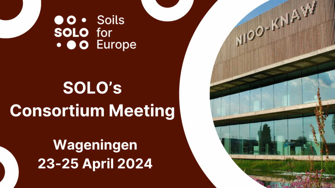 SOLO's consortium meeting to take place in Wageningen