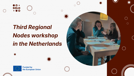 Looking back at the Achterhoek Regional Nodes Workshop