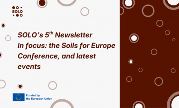 SOLO's fifth newsletter has arrived!
