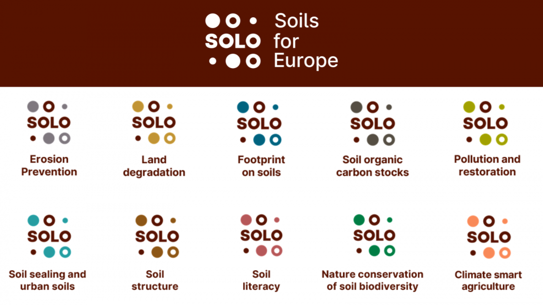Introducing: SOLO's Think Tanks webpage