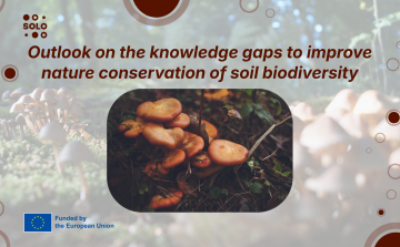 Outlook on the knowledge gaps to improve nature conservation of soil biodiversity