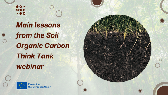 New Scientific Roadmap Outlines Strategy to Transform European Soils from Carbon Source to Resilient Sink
