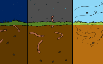 Multilingual article collection on soil biodiversity now available