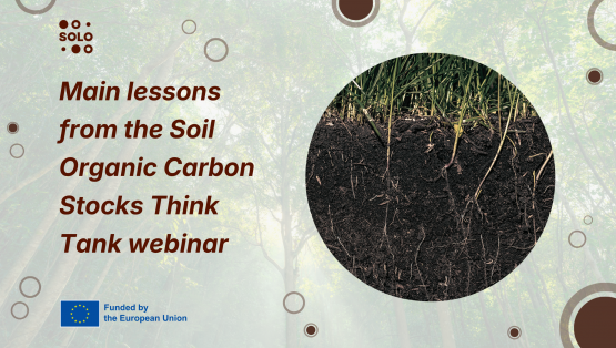 New Scientific Roadmap Outlines Strategy to Transform European Soils from Carbon Source to Resilient Sink