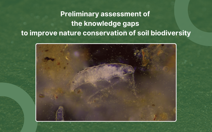 SOLO's roadmaps: Preliminary assessment of the knowledge gaps to improve nature conservation of soil biodiversity