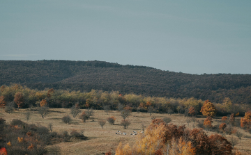 SOLO holds its first Regional Nodes workshop in Hungary