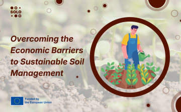 How the Current Economic Model Holds Back Sustainable Soil Management in Spain
