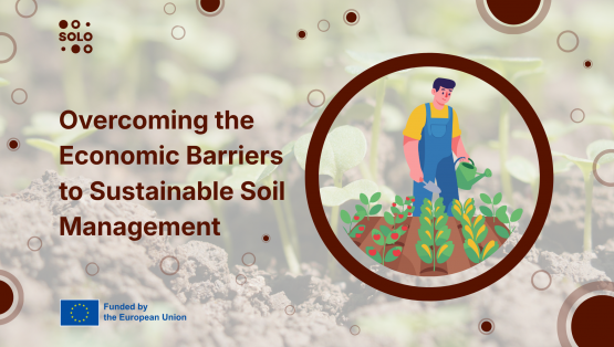How the Current Economic Model Holds Back Sustainable Soil Management in Spain