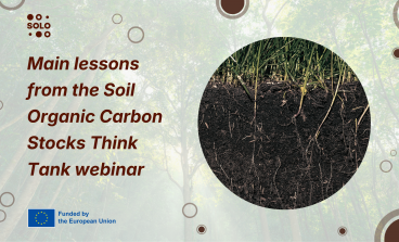 New Scientific Roadmap Outlines Strategy to Transform European Soils from Carbon Source to Resilient Sink