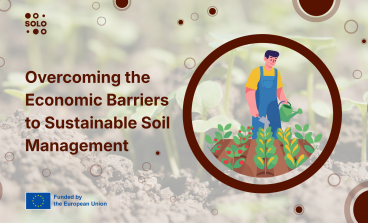 How the Current Economic Model Holds Back Sustainable Soil Management in Spain