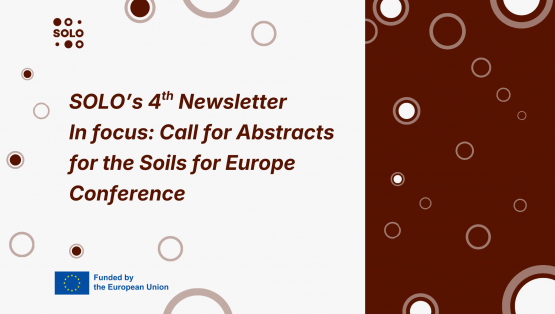 SOLO's fourth newsletter is here!
