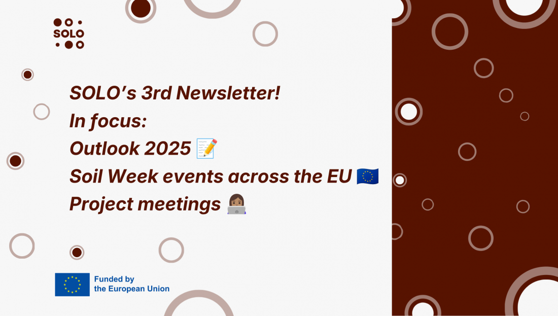 SOLO's third newsletter has arrived!
