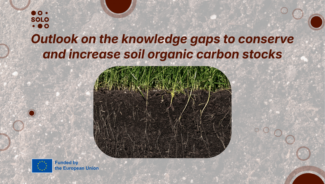 Outlook on the knowledge gaps to conserve and increase soil organic carbon stocks
