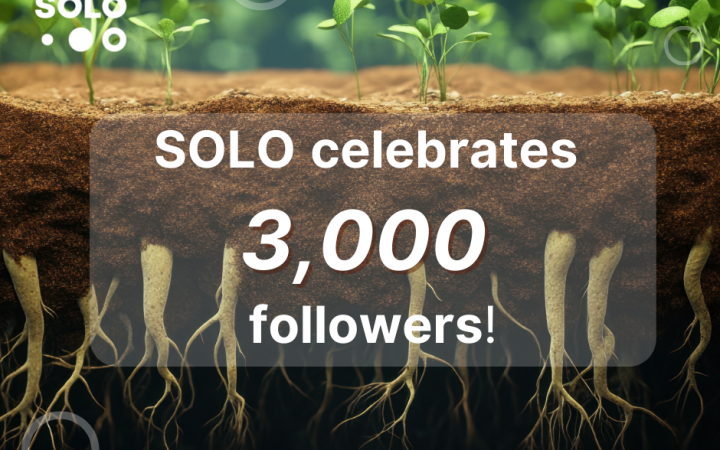 SOLO celebrates 3000 followers