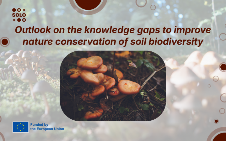Outlook on the knowledge gaps to improve nature conservation of soil biodiversity