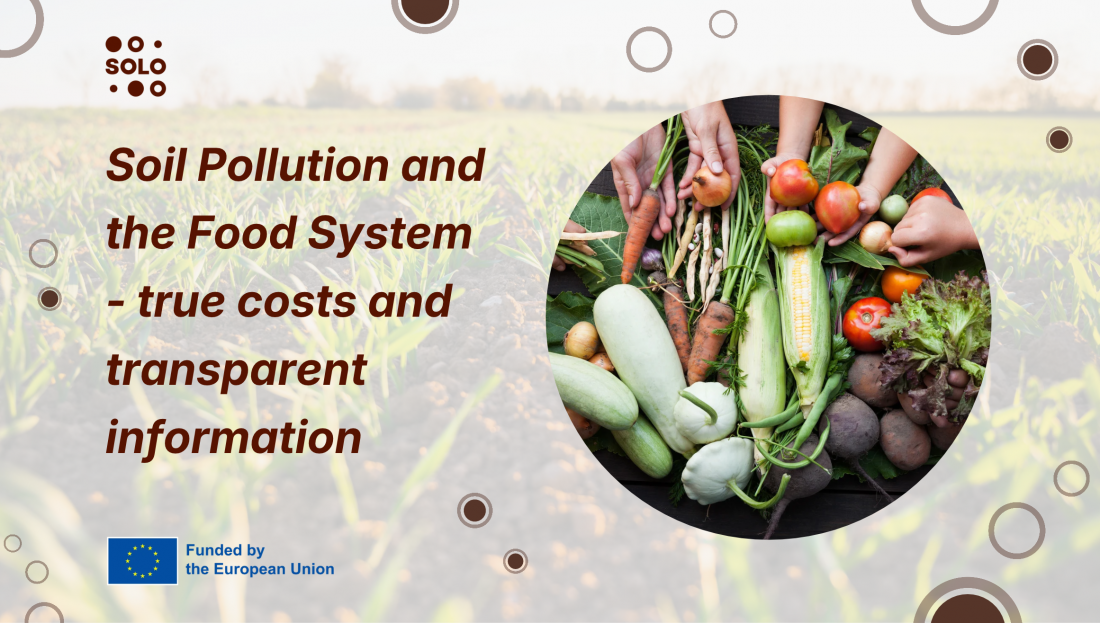 Think Tank webinar series: A look back at the Soil Pollution event