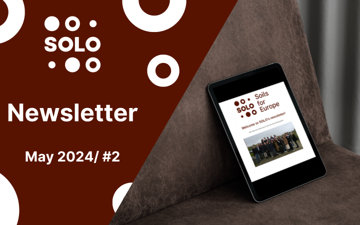 SOLO's second newsletter is now available!
