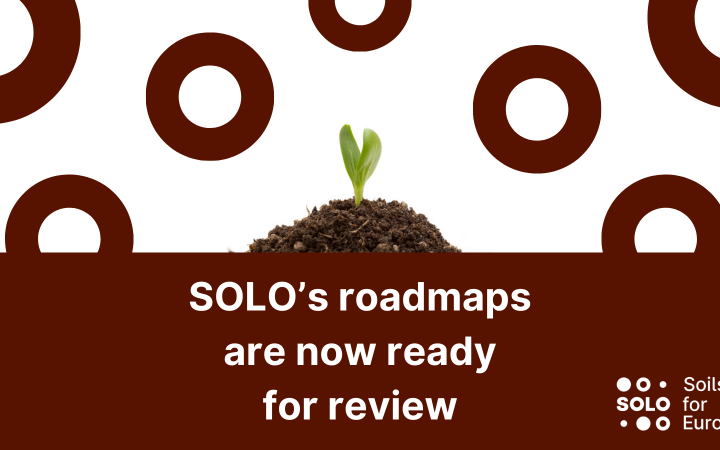Healthy soils for Europe: SOLO’s roadmaps are now ready for review