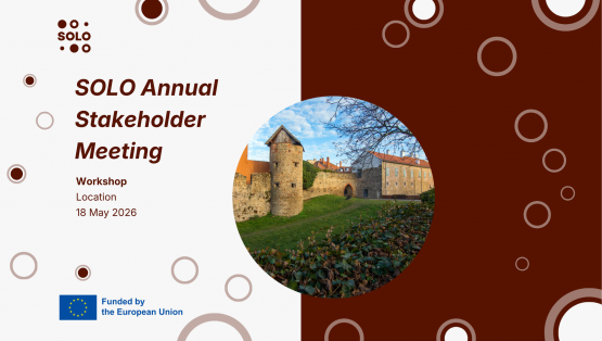 SOLO Annual Stakeholder Meeting Kicks Off in Kőszeg, Hungary