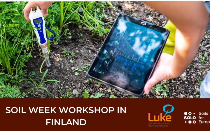 Soil Week 2024: Workshop in Helsinki discusses soil health, ecosystem restoration and forest soil health