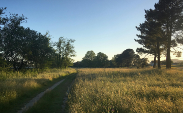 Portugal’s second Regional Nodes workshop takes place