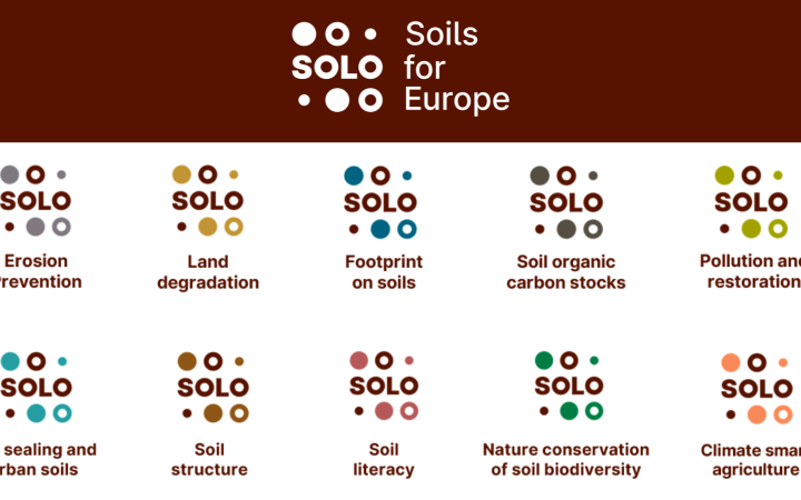 Introducing: SOLO's Think Tanks webpage