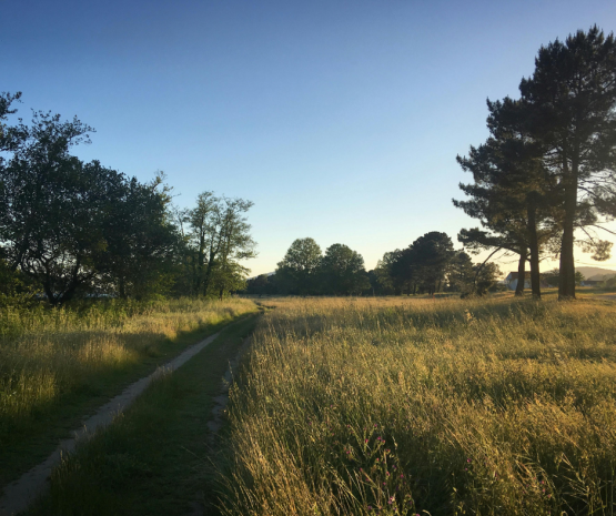 Portugal’s second Regional Nodes workshop takes place