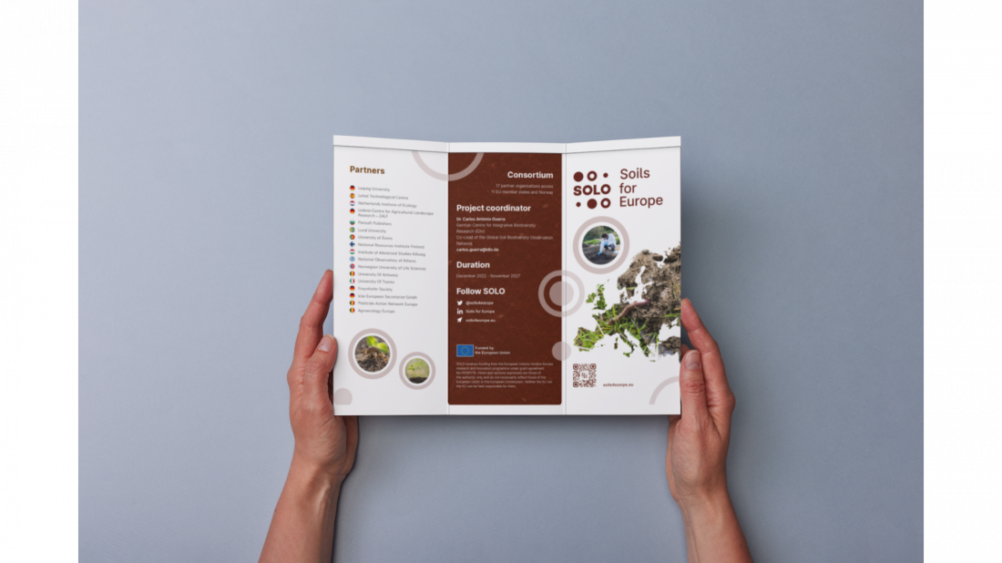 SOLO’s new promotional materials now available on our website