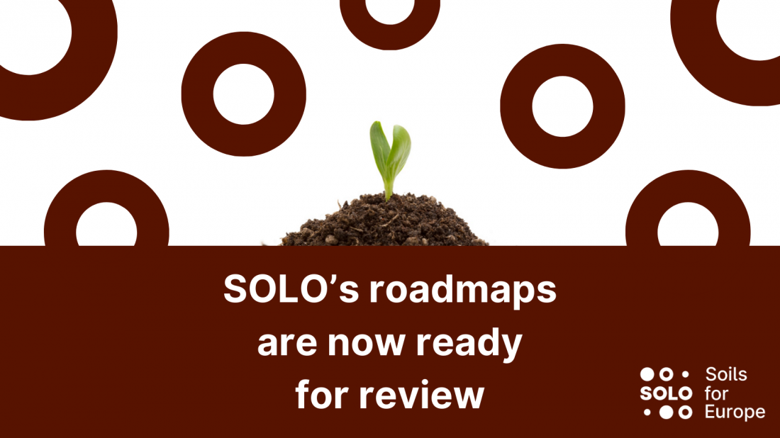 Healthy soils for Europe: SOLO’s roadmaps are now ready for review