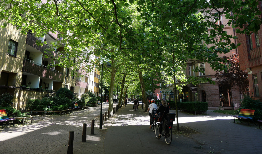 Soil Week 2024: Seminar discusses urban densification and ecosystem services