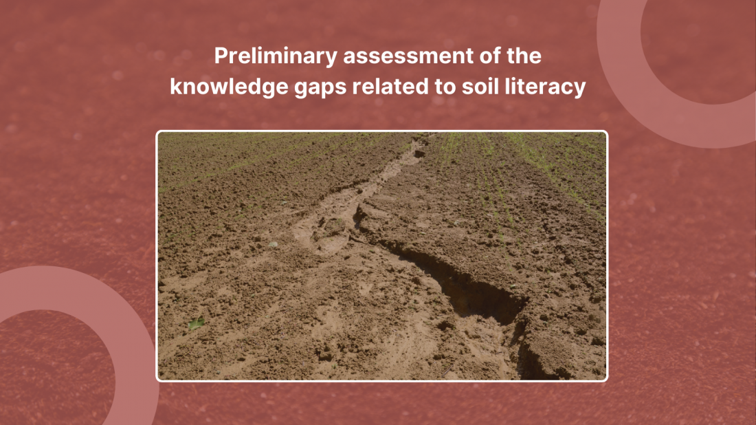 SOLO's roadmaps: Preliminary assessment of the knowledge gaps related to soil literacy