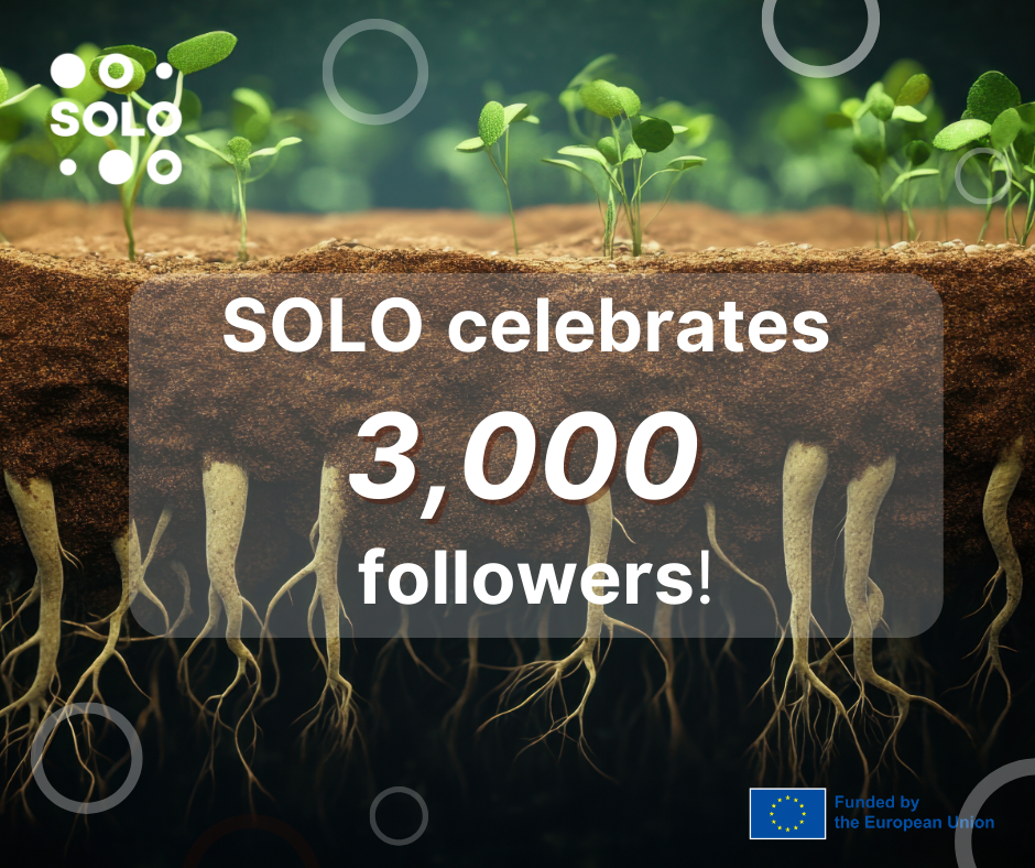 SOLO celebrates 3000 followers